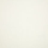 Canvas - SunbrellaÂ® - White 57003-0000 - RM Coco - Fabric by the Yard