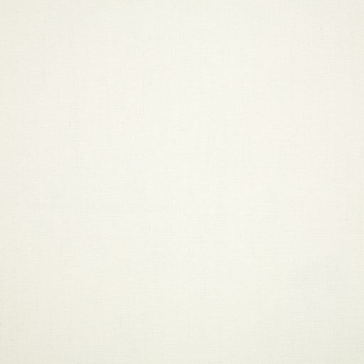 Canvas - SunbrellaÂ® - White 57003-0000 - RM Coco - Fabric by the Yard