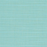 Dupione - SunbrellaÂ® - Celeste 8067-0000 - RM Coco - Fabric by the Yard