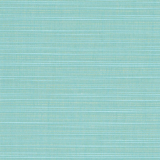 Dupione - SunbrellaÂ® - Celeste 8067-0000 - RM Coco - Fabric by the Yard