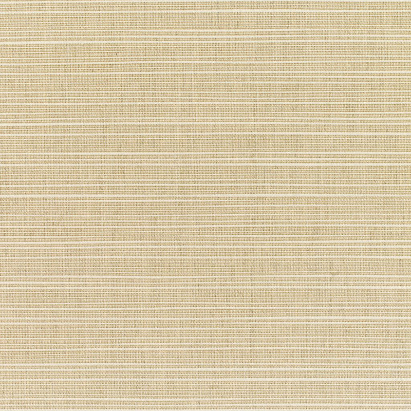 Dupione - SunbrellaÂ® - Sand 8011-0000 - RM Coco - Fabric by the Yard