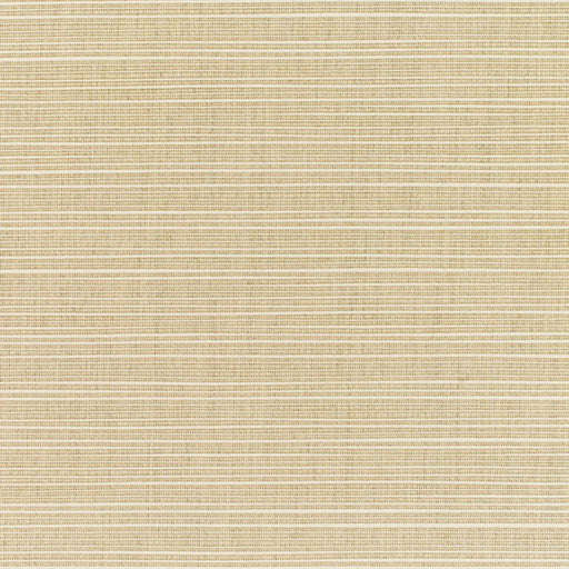 Dupione - SunbrellaÂ® - Sand 8011-0000 - RM Coco - Fabric by the Yard