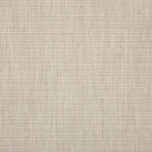 Echo - SunbrellaÂ® - Ash 57005-0000 - RM Coco - Fabric by the Yard
