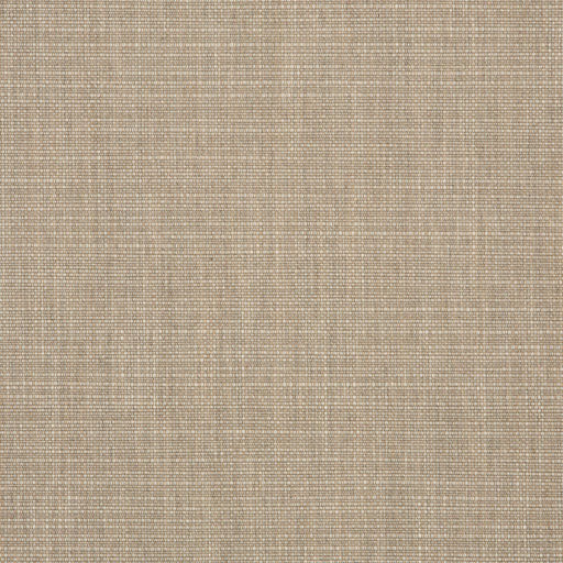 Echo - SunbrellaÂ® - Dune 57007-0000 - RM Coco - Fabric by the Yard