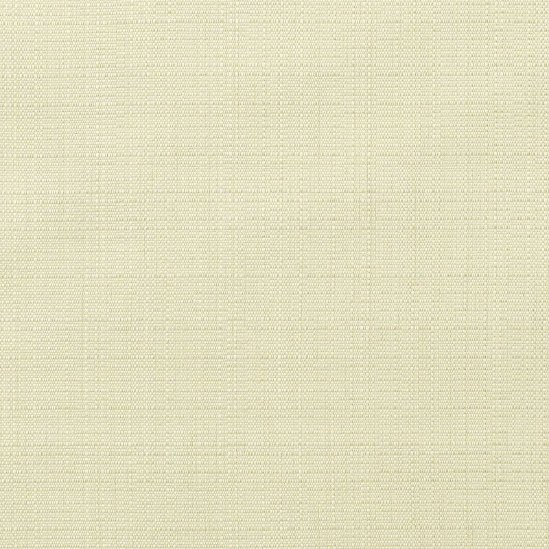 Linen - SunbrellaÂ® - Canvas 8353-0000 - RM Coco - Fabric by the Yard
