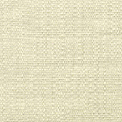 Linen - SunbrellaÂ® - Canvas 8353-0000 - RM Coco - Fabric by the Yard