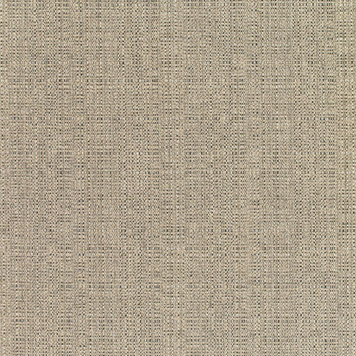 Linen - SunbrellaÂ® - Stone 8319-0000 - RM Coco - Fabric by the Yard