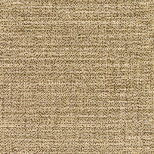 Linen - SunbrellaÂ® - Sesame 8318-0000 - RM Coco - Fabric by the Yard