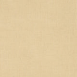 Shadow - SunbrellaÂ® - Sand 51000-0001 - RM Coco - Fabric by the Yard