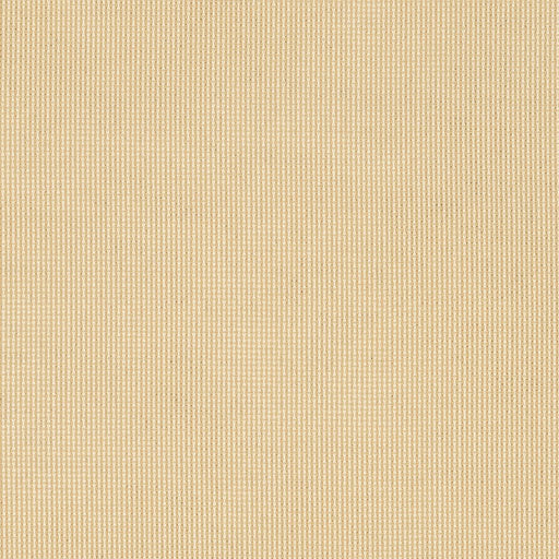 Shadow - SunbrellaÂ® - Sand 51000-0001 - RM Coco - Fabric by the Yard