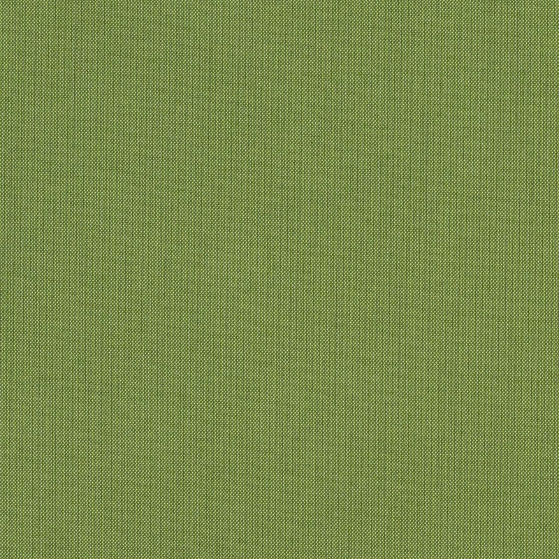 Spectrum - SunbrellaÂ® - Cilantro 48022-0000 - RM Coco - Fabric by the Yard