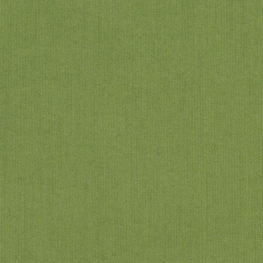 Spectrum - SunbrellaÂ® - Cilantro 48022-0000 - RM Coco - Fabric by the Yard