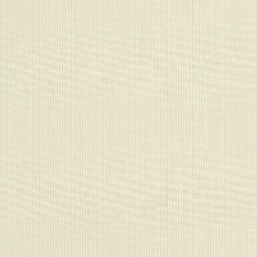 Spectrum - SunbrellaÂ® - Eggshell 48018-0000 - RM Coco - Fabric by the Yard