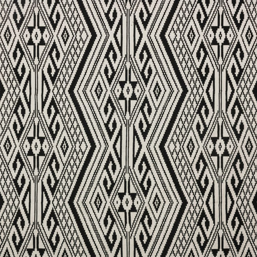 Papago - Obsidian - RM Coco - Fabric by the Yard