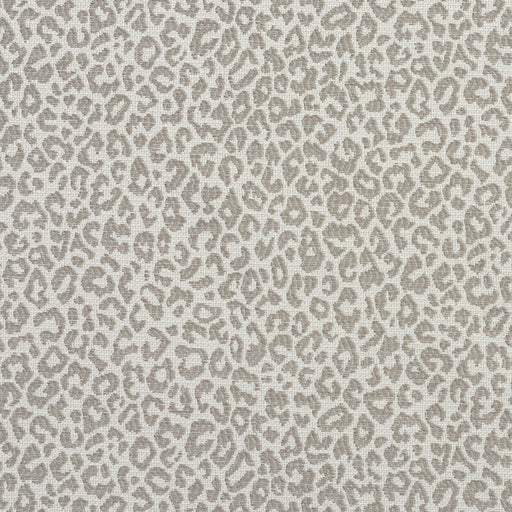 Charlotte - 1594 - Stone - Fabric by the Yard Stone