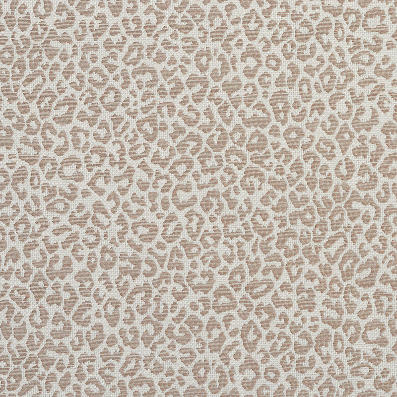 Charlotte - 1596 - Taupe - Fabric by the Yard Taupe