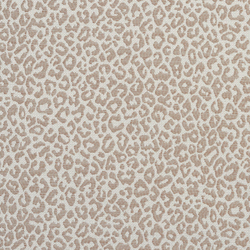 Charlotte - 1596 - Taupe - Fabric by the Yard Taupe