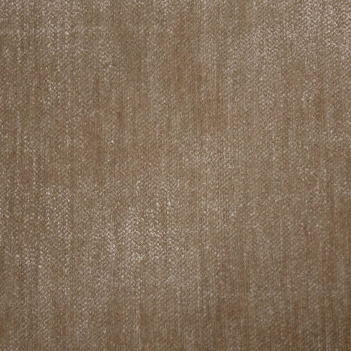 Maison Royale - Buff - RM Coco - Fabric by the Yard