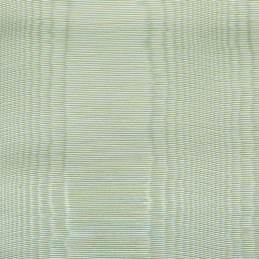 CROWN MOIRE - EGGSHELL - RM Coco - Fabric by the Yard