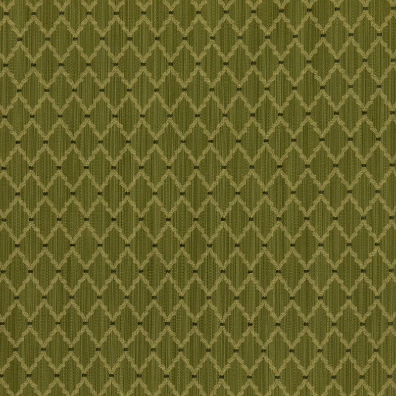 Carlyle - Pear - RM Coco - Fabric by the Yard