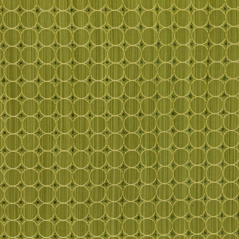 Rizzolli - Pear - RM Coco - Fabric by the Yard