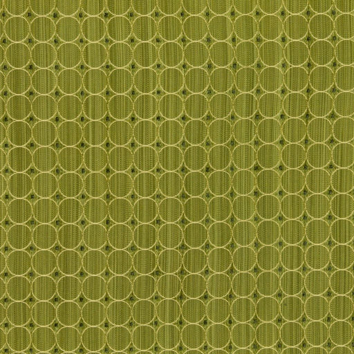 Rizzolli - Pear - RM Coco - Fabric by the Yard