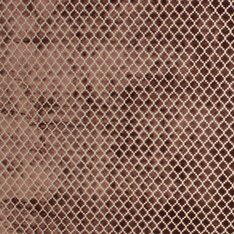 Pique Trellis - Mocha - RM Coco - Fabric by the Yard
