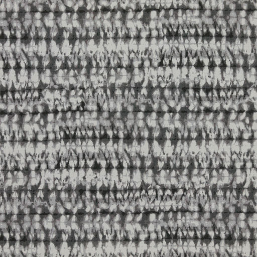 Tie Die - Pewter - RM Coco - Fabric by the Yard