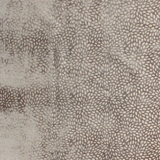 Ikebana - Silver - RM Coco - Fabric by the Yard