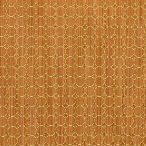 Rizzolli - Nectarine - RM Coco - Fabric by the Yard