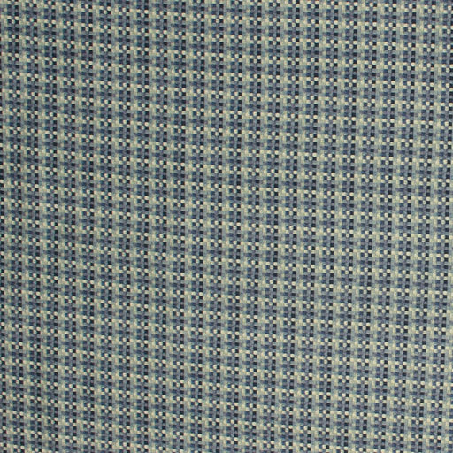 Chiclet - Indigo - RM Coco - Fabric by the Yard