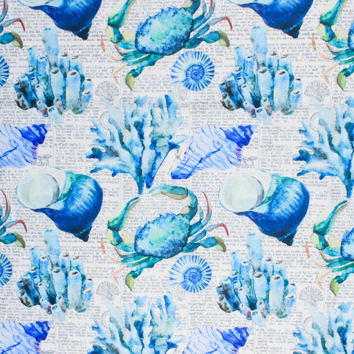 Beach Party - Clarity - RM Coco - Fabric by the Yard