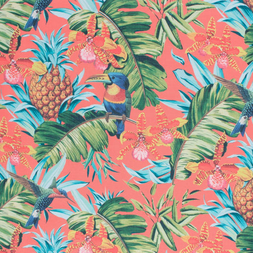 Parrot Clay - Happiness - RM Coco - Fabric by the Yard