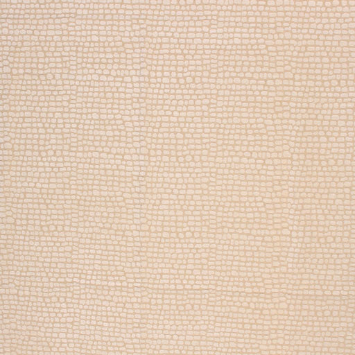 Croc - White Chocolate - RM Coco - Fabric by the Yard