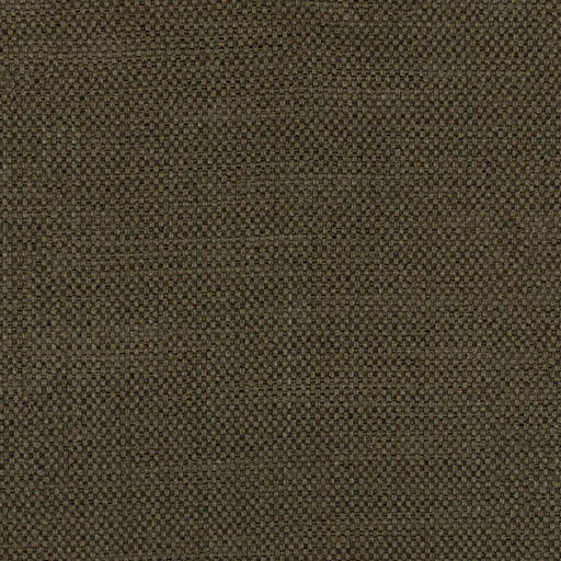 Umbra - Pepper Pot - RM Coco - Fabric by the Yard