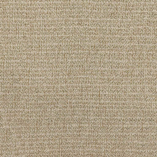 Nightfall - Birch - RM Coco - Fabric by the Yard