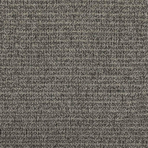 Nightfall - Thunder - RM Coco - Fabric by the Yard