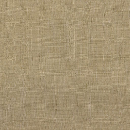 Phantom - Dune - RM Coco - Fabric by the Yard
