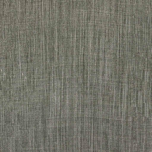 Phantom - Pewter - RM Coco - Fabric by the Yard