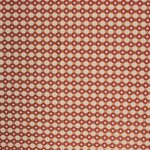 Inner Circle - Mandarin - RM Coco - Fabric by the Yard