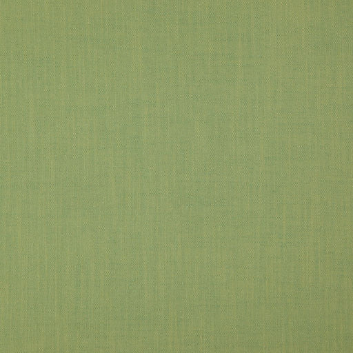 Strata - Basil - RM Coco - Fabric by the Yard