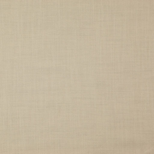 Strata - Putty - RM Coco - Fabric by the Yard