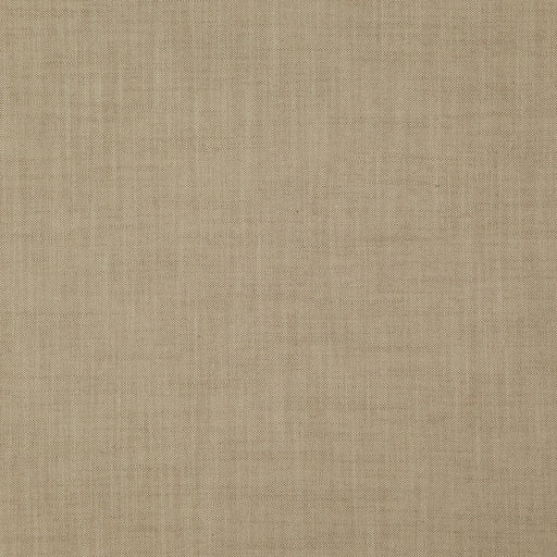 Strata - Sea Grass - RM Coco - Fabric by the Yard