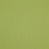 LANDEN - FERN - RM Coco - Fabric by the Yard
