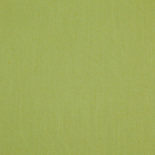 Landen - Fern - RM Coco - Fabric by the Yard