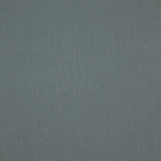 Landen - Shark - RM Coco - Fabric by the Yard