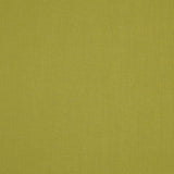 LANDEN - PISTACHIO - RM Coco - Fabric by the Yard
