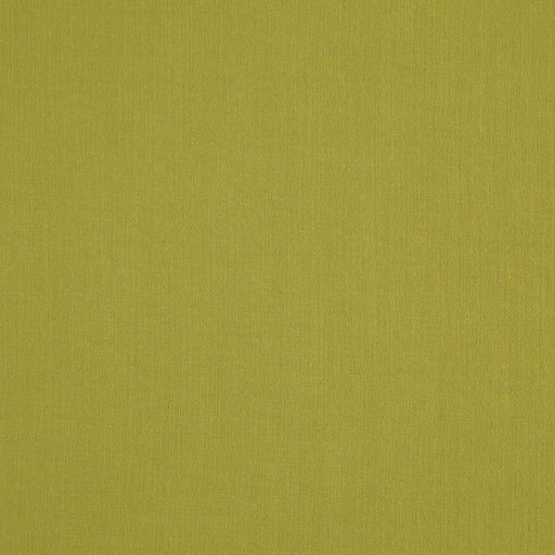 LANDEN - PISTACHIO - RM Coco - Fabric by the Yard