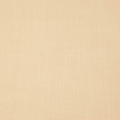 Landen - Antique - RM Coco - Fabric by the Yard