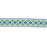 BD102 BORDER 2" - CITRUS - RM Coco - Trim by the Yard